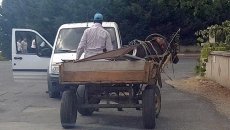 Yol nişanlarını söküb at arabası ilə apararkən saxlanıldı - FOTO