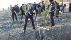 Polislər də ağacəkmə kompaniyasına qoşuldu  - FOTO