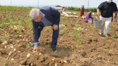 İcra başçısı bu görüntülərə görə qınağa tuş gəldi - FOTOLAR 