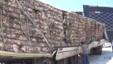 TIR aşdı, içindəki 15 min toyuğun beş mini tələf oldu - VİDEO 