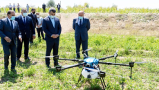 Azərbaycanda ilk dəfə qarğıdalı sahələri dronlar vasitəsilə dərmanlanıb  - FOTO