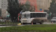 Sərnişin avtobusu yolu keçən qadını vurub öldürdü - VİDEO 