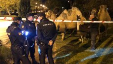 Polis şəhərin mərkəzində dəvə sürüsünü saxladı  - FOTO