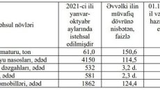 Minik avtomobillərinin sayında kəskin artım var  - FOTO