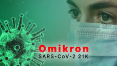 Azərbaycanda 8 114 nəfər “Omicron”a yoluxub, onlardan 53-ü ölüb 