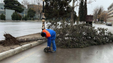 Güclü külək Gəncədə bir sıra fəsadlar törədib, xəsarət alanlar var - FOTO