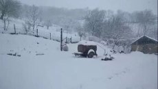 Güclü qar səbəbindən Cəlilabad - Yardımlı yolu bağlanıb, kəndlər işıqsız qalıb  - FOTO