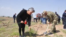 Zəngilanda 44 şəhid anası ağac əkdi - FOTO 